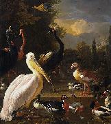 Melchior de Hondecoeter The Floating Feather oil painting on canvas